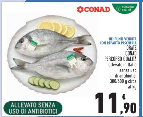 Orate Conad Percorso Qualità