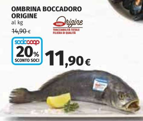 OMBRINA BOCCADORO ORIGINE