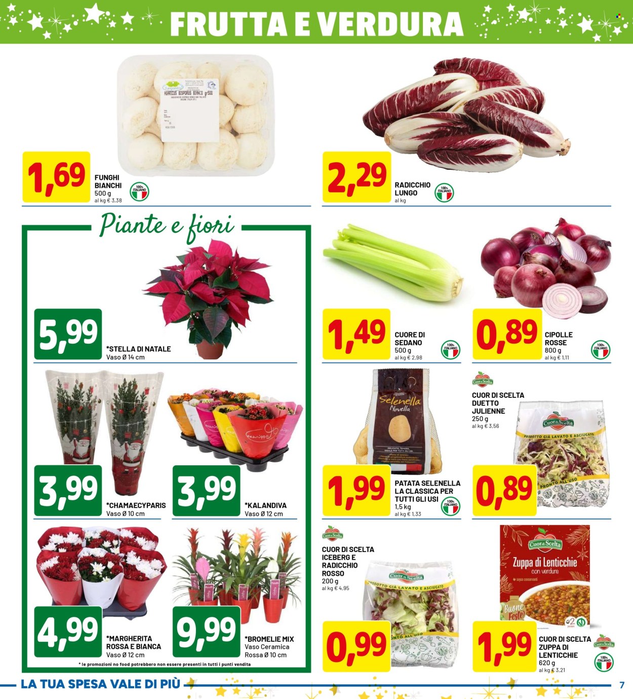 Volantino Dpiù - 1/12/2025 - 10/12/2025. Pagina 7