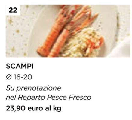 Scampi
