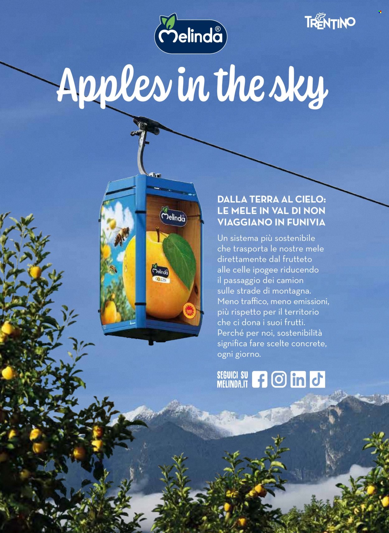 Volantino Coop - 1/12/2025 - 24/12/2025. Pagina 38