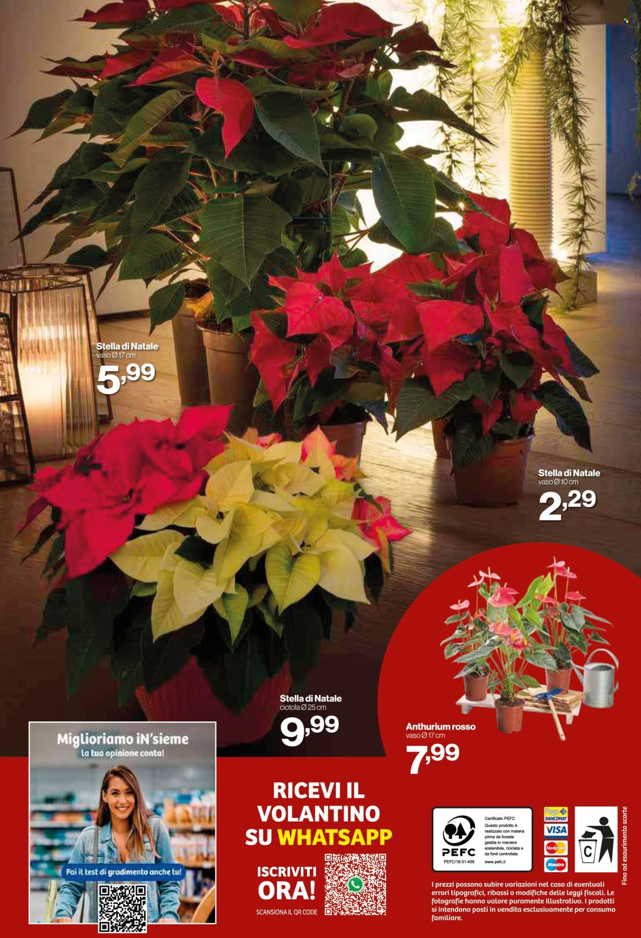 Volantino iN's Mercato - 3/12/2025 - 14/12/2025. Pagina 24