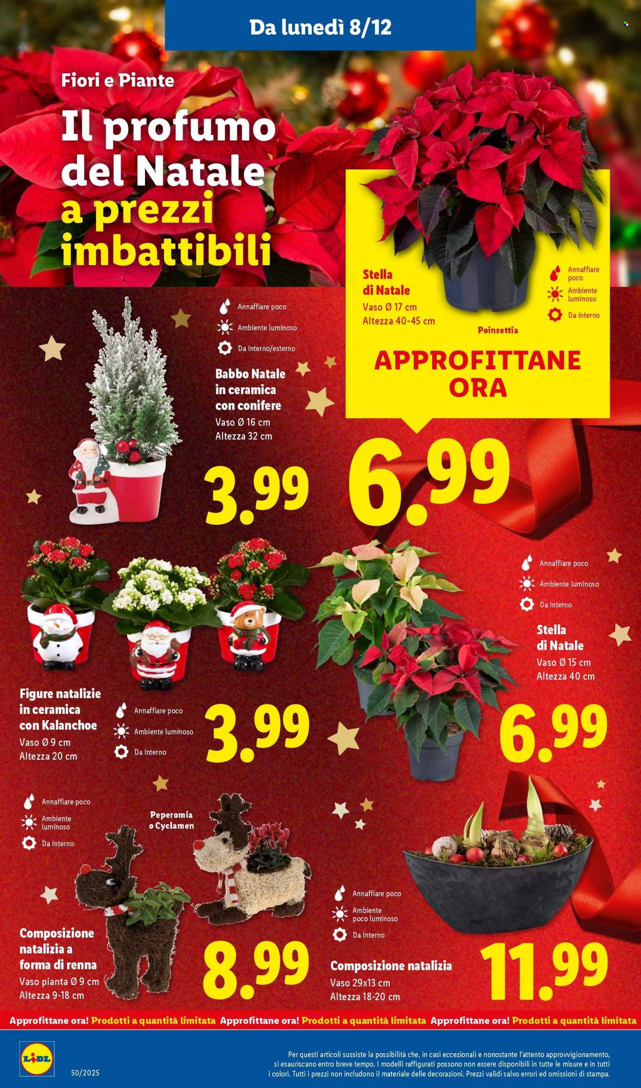 Volantino Lidl - 8/12/2025 - 14/12/2025. Pagina 32