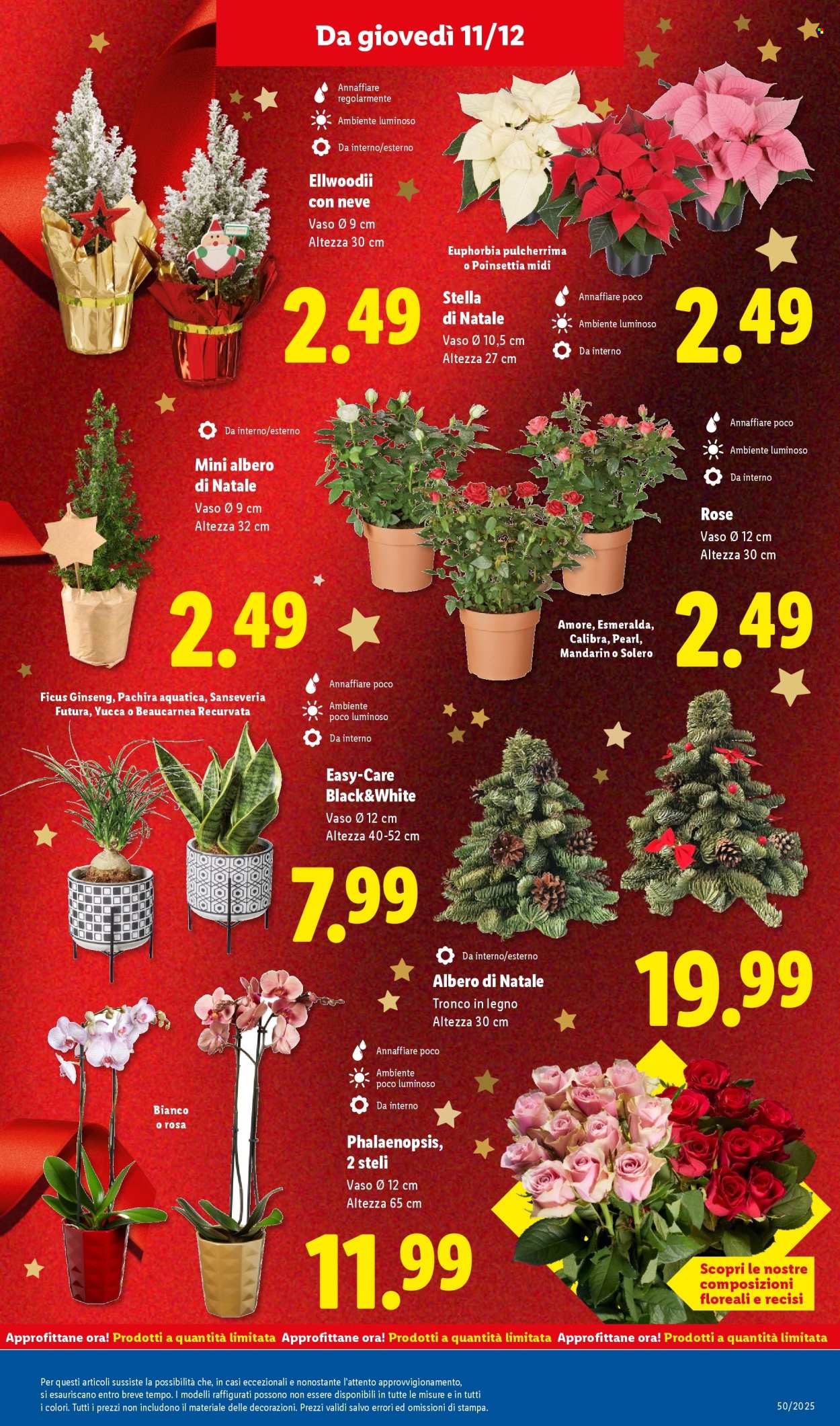 Volantino Lidl - 8/12/2025 - 14/12/2025. Pagina 33