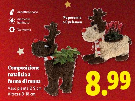 Composizione natalizia a forma di renna