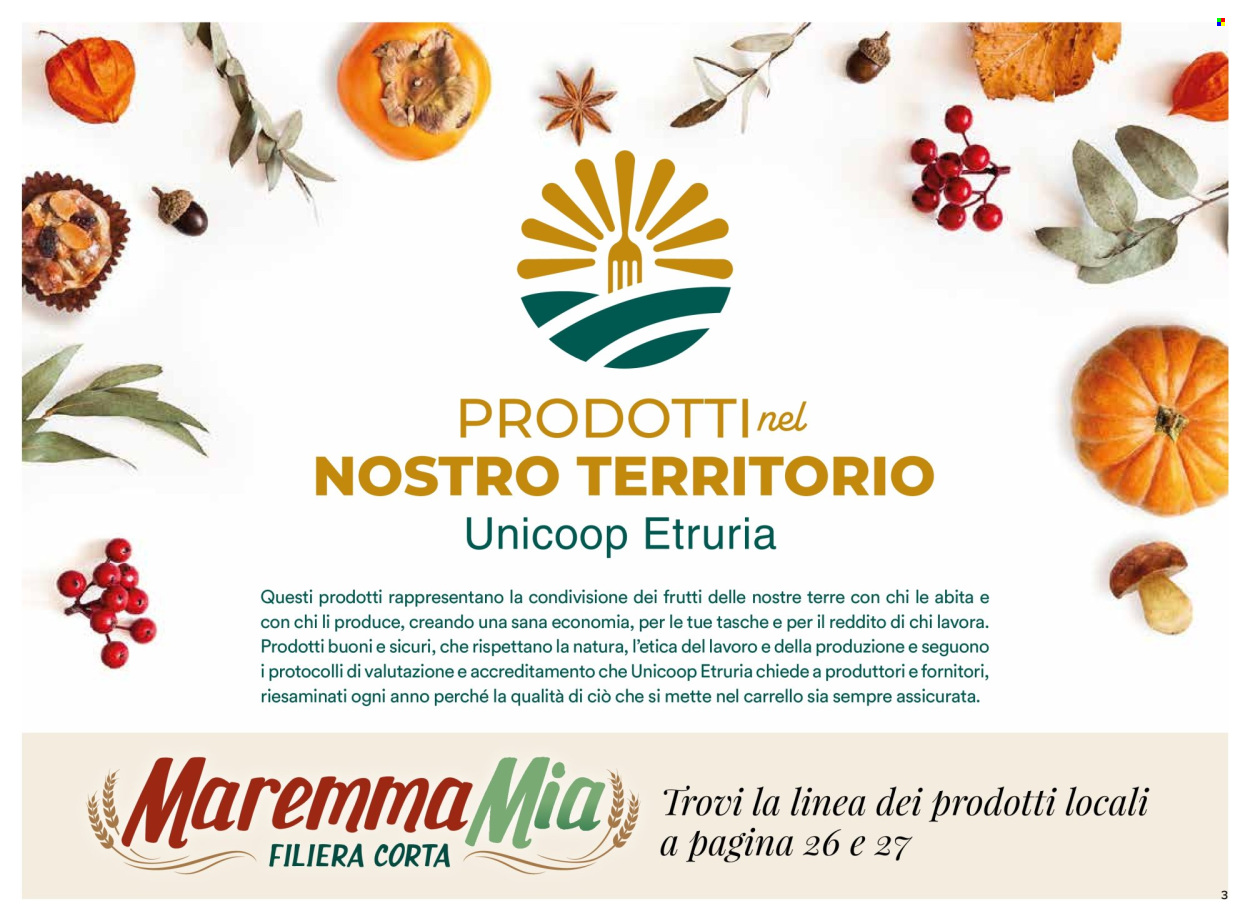 Volantino Coop - 27/11/2025 - 31/12/2025. Pagina 3