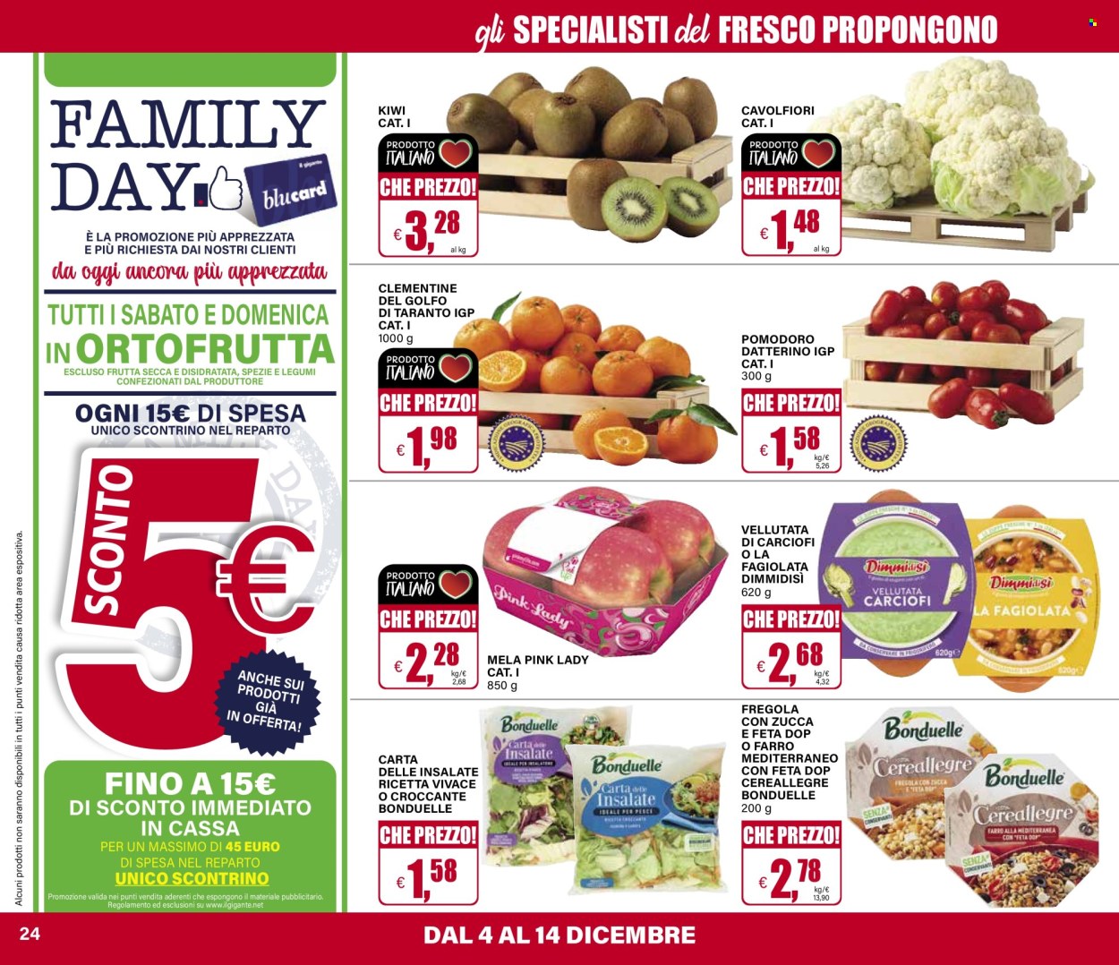 Volantino Il Gigante - 4/12/2025 - 13/12/2025. Pagina 24