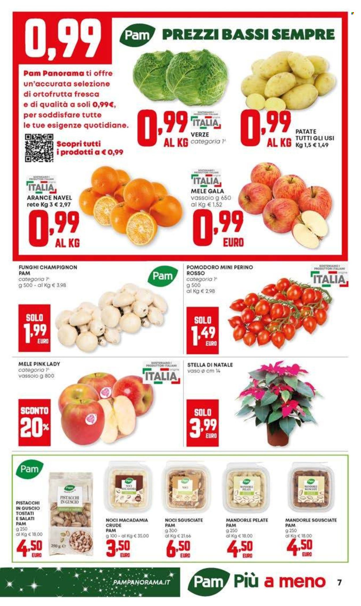 Volantino Pam Panorama - 4/12/2025 - 17/12/2025. Pagina 7