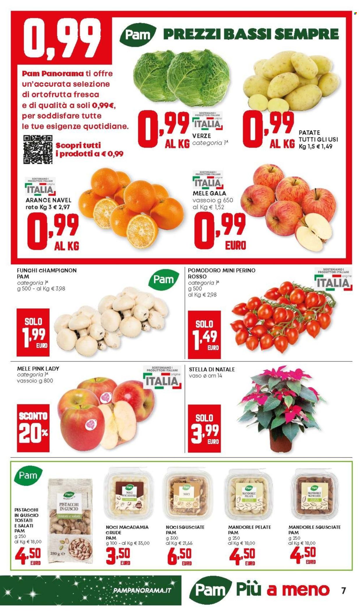 Volantino Panorama - 4/12/2025 - 17/12/2025. Pagina 7