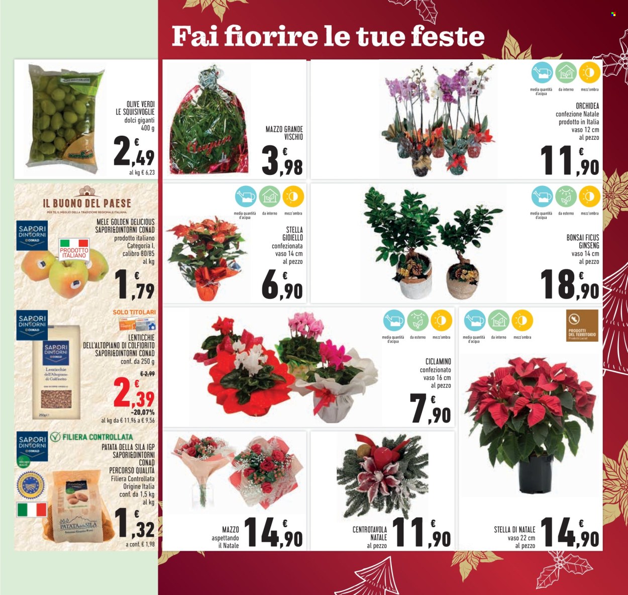Volantino Conad - 10/12/2025 - 26/12/2025. Pagina 15