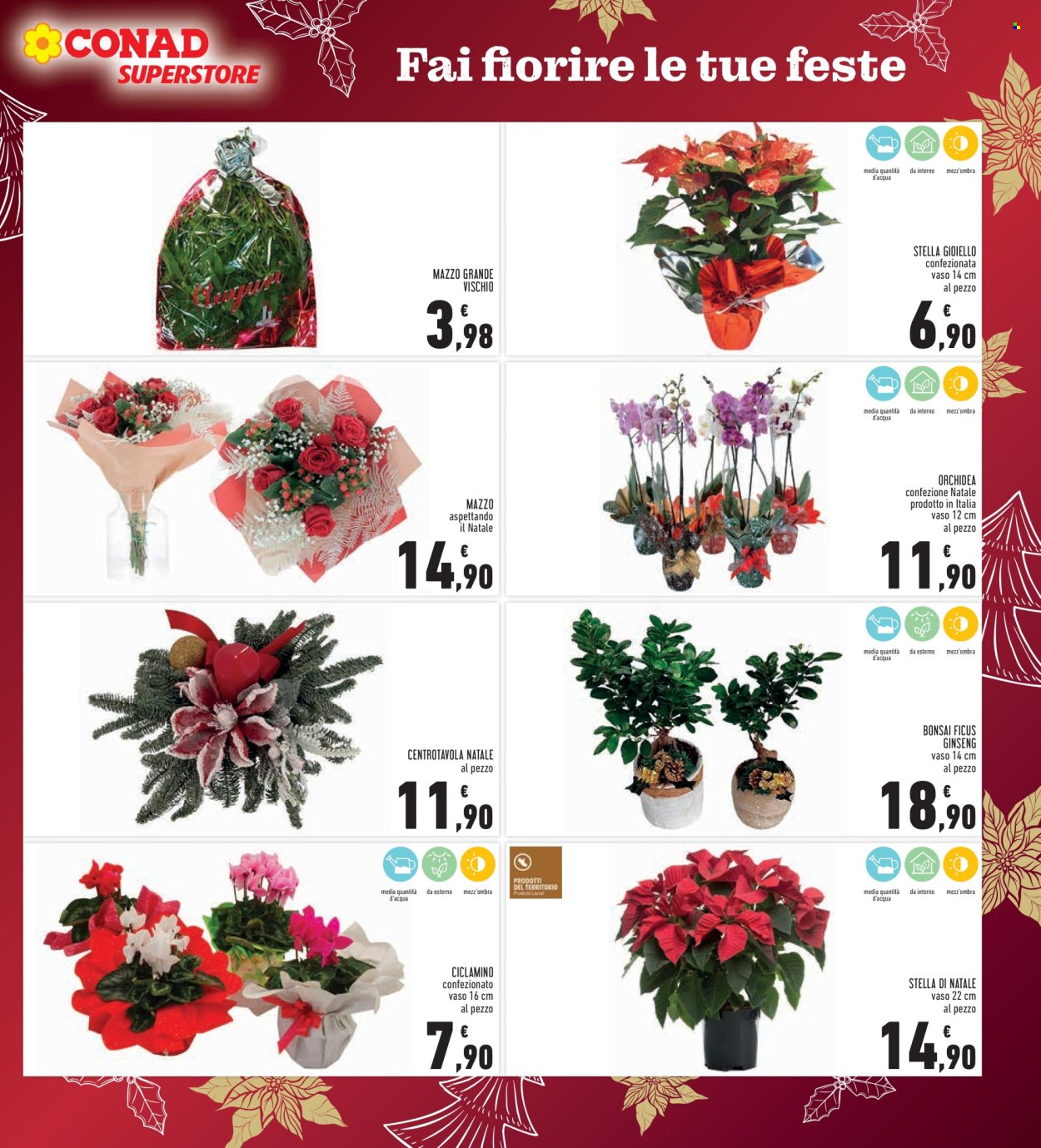 Volantino Conad - 10/12/2025 - 26/12/2025. Pagina 13