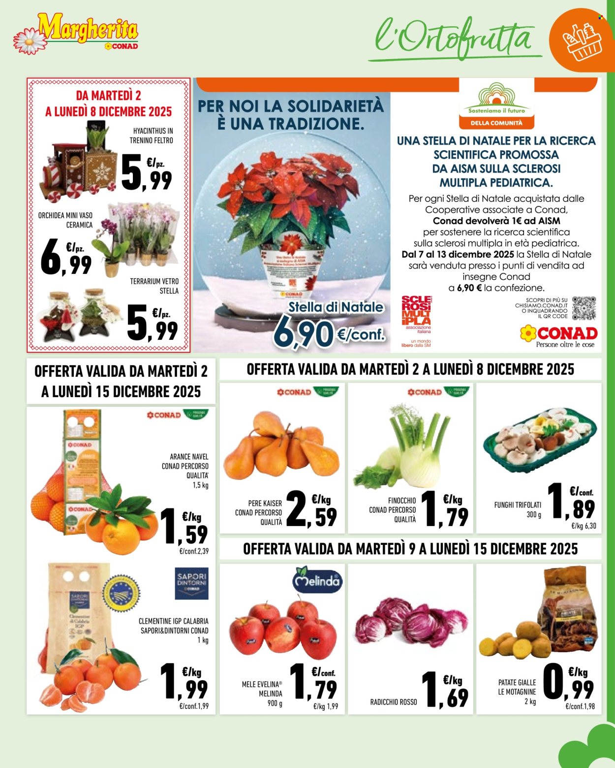 Volantino Conad - 2/12/2025 - 15/12/2025. Pagina 3
