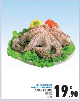 Polpo Arricciato Fresco