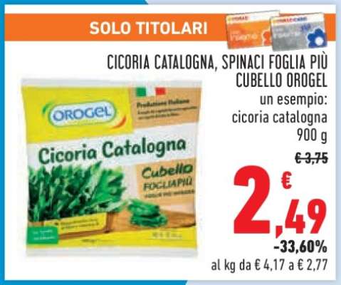 CICORIA CATALOGNA, SPINACI FOGLIA PIÙ CUBELLO OROGEL
