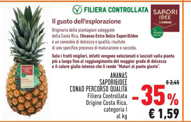 Ananas Sapori&Idee Conad Percorso Qualità