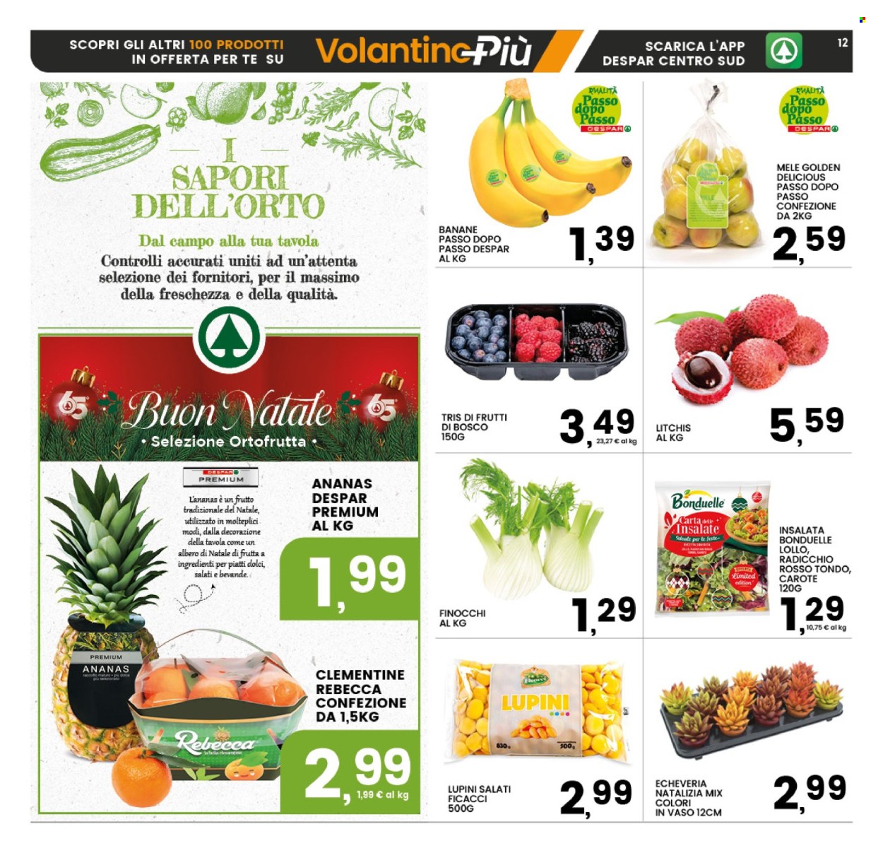 Volantino Interspar - 11/12/2025 - 24/12/2025. Pagina 12