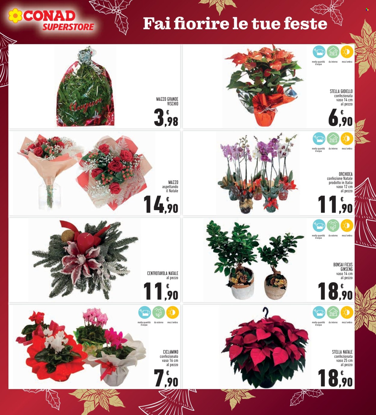 Volantino Conad - 15/12/2025 - 26/12/2025. Pagina 7