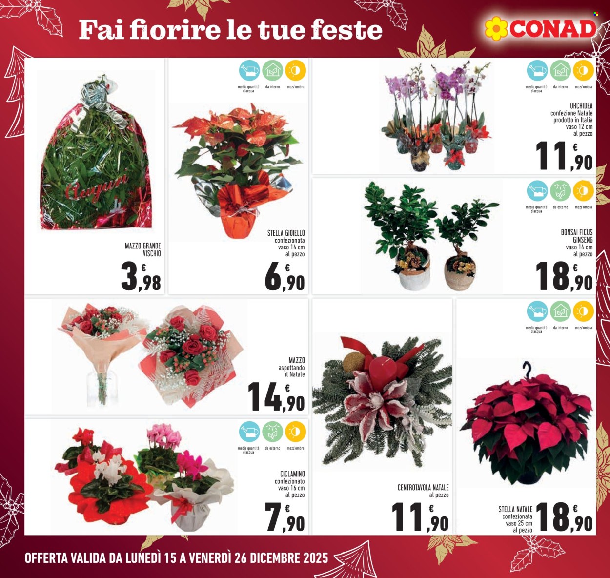 Volantino Conad - 15/12/2025 - 26/12/2025. Pagina 6