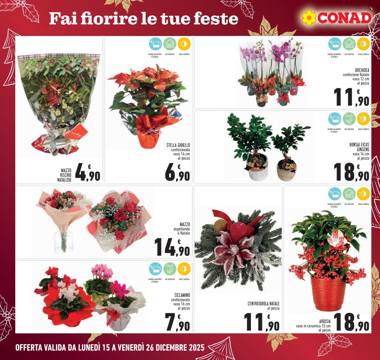 Volantino Conad - 15/12/2025 - 26/12/2025. Pagina 6