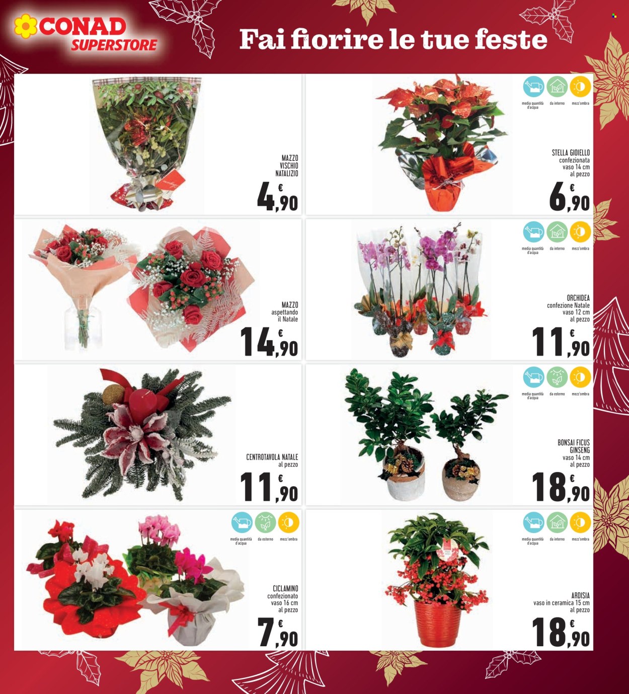 Volantino Conad Superstore - 15/12/2025 - 26/12/2025. Pagina 7