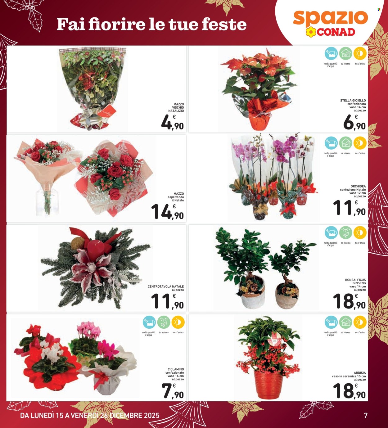 Volantino Spazio Conad - 15/12/2025 - 26/12/2025. Pagina 7
