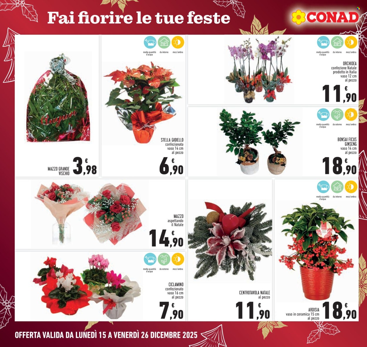 Volantino Conad - 15/12/2025 - 26/12/2025. Pagina 6