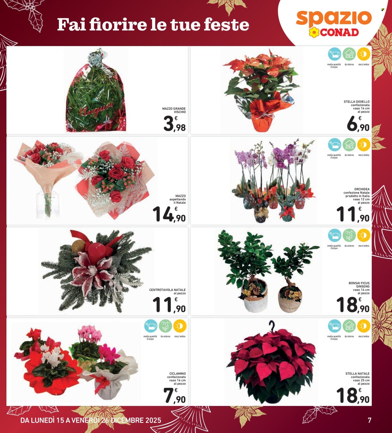 Volantino Spazio Conad - 15/12/2025 - 26/12/2025. Pagina 7
