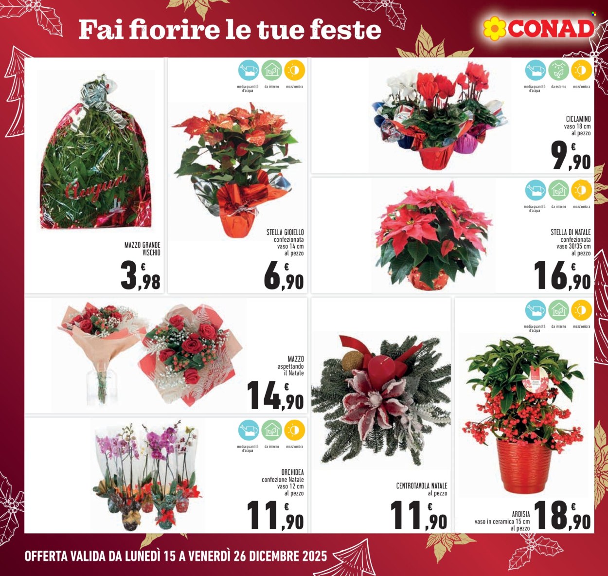 Volantino Conad - 15/12/2025 - 26/12/2025. Pagina 6