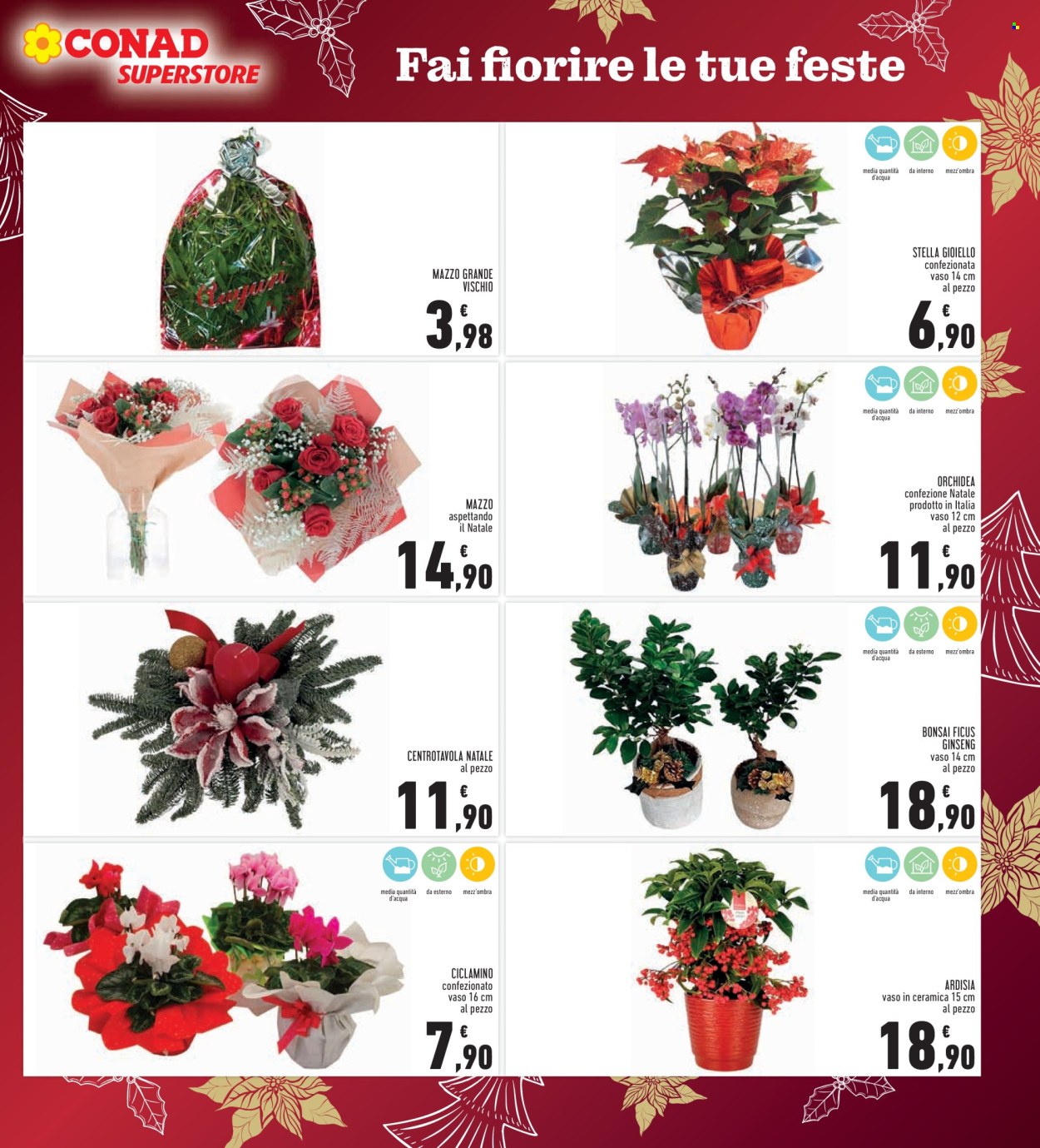 Volantino Conad Superstore - 15/12/2025 - 26/12/2025. Pagina 7