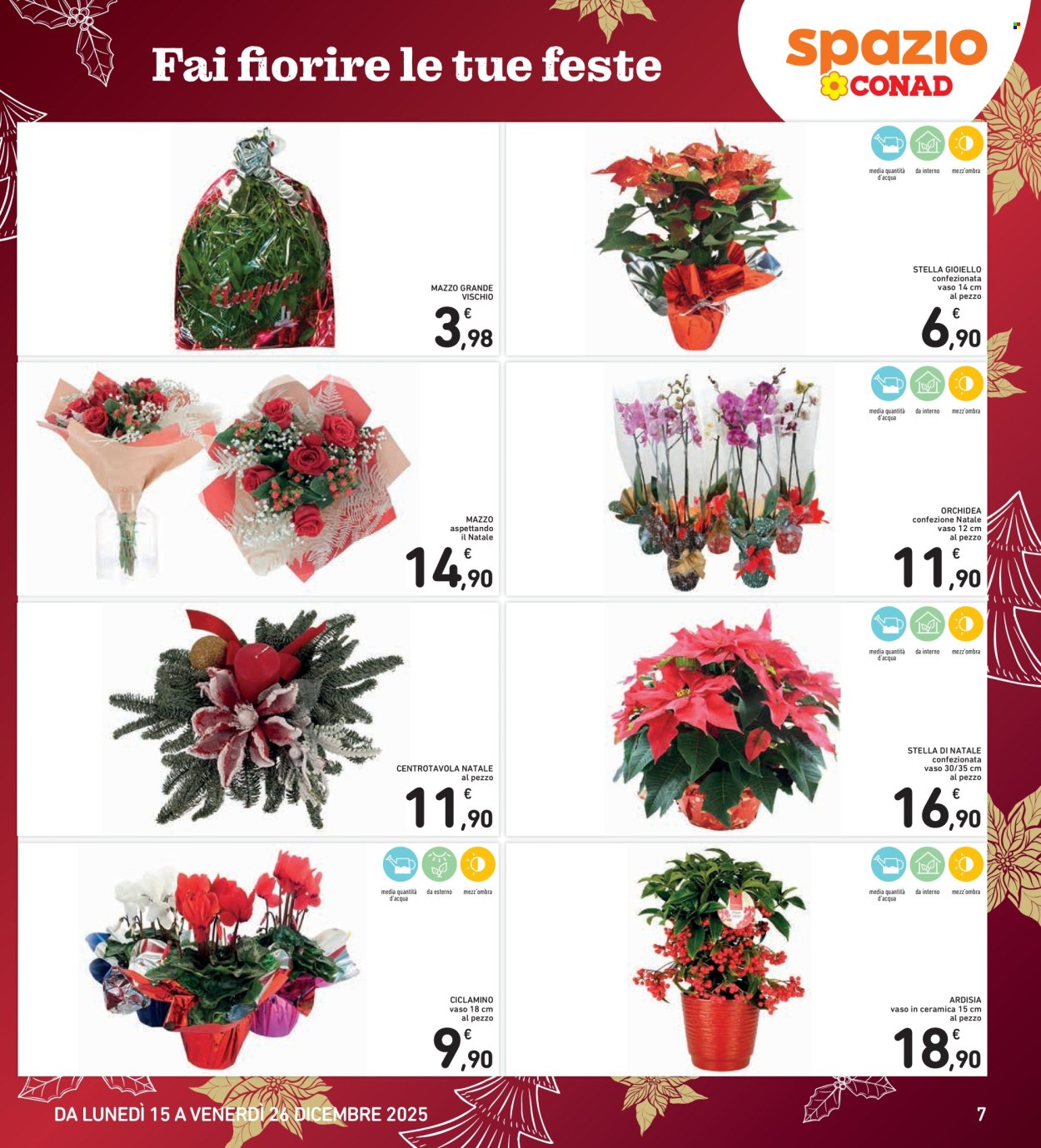 Volantino Spazio Conad - 15/12/2025 - 26/12/2025. Pagina 7