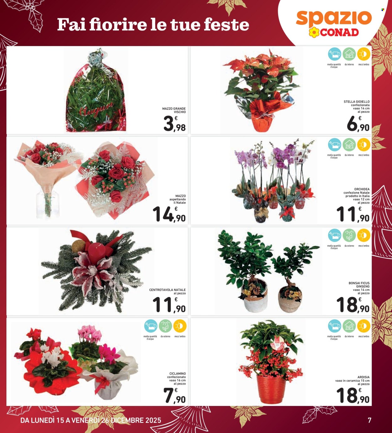 Volantino Spazio Conad - 15/12/2025 - 26/12/2025. Pagina 7