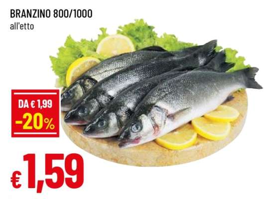 BRANZINO 800/1000