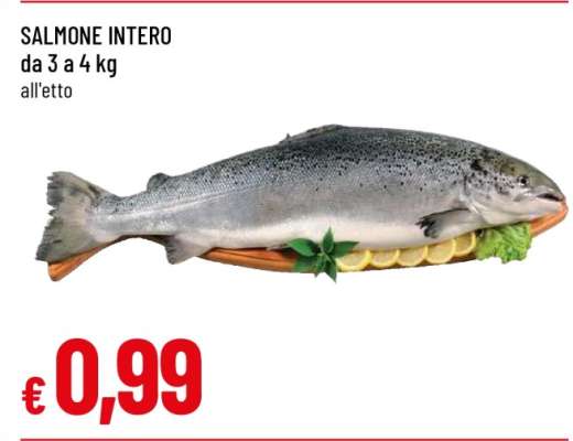 Salmone Intero