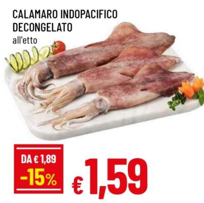 CALAMARO INDOPACIFICO DECONGELATO