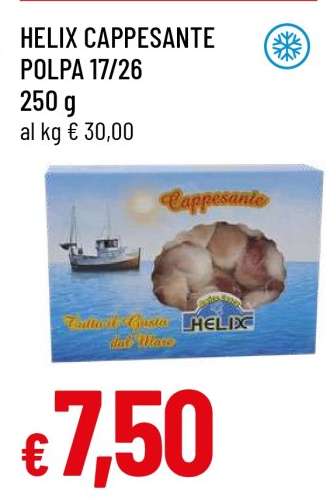 HELIX CAPPESANTE POLPA 17/26