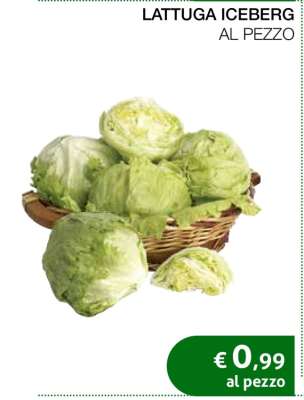 Lattuga Iceberg