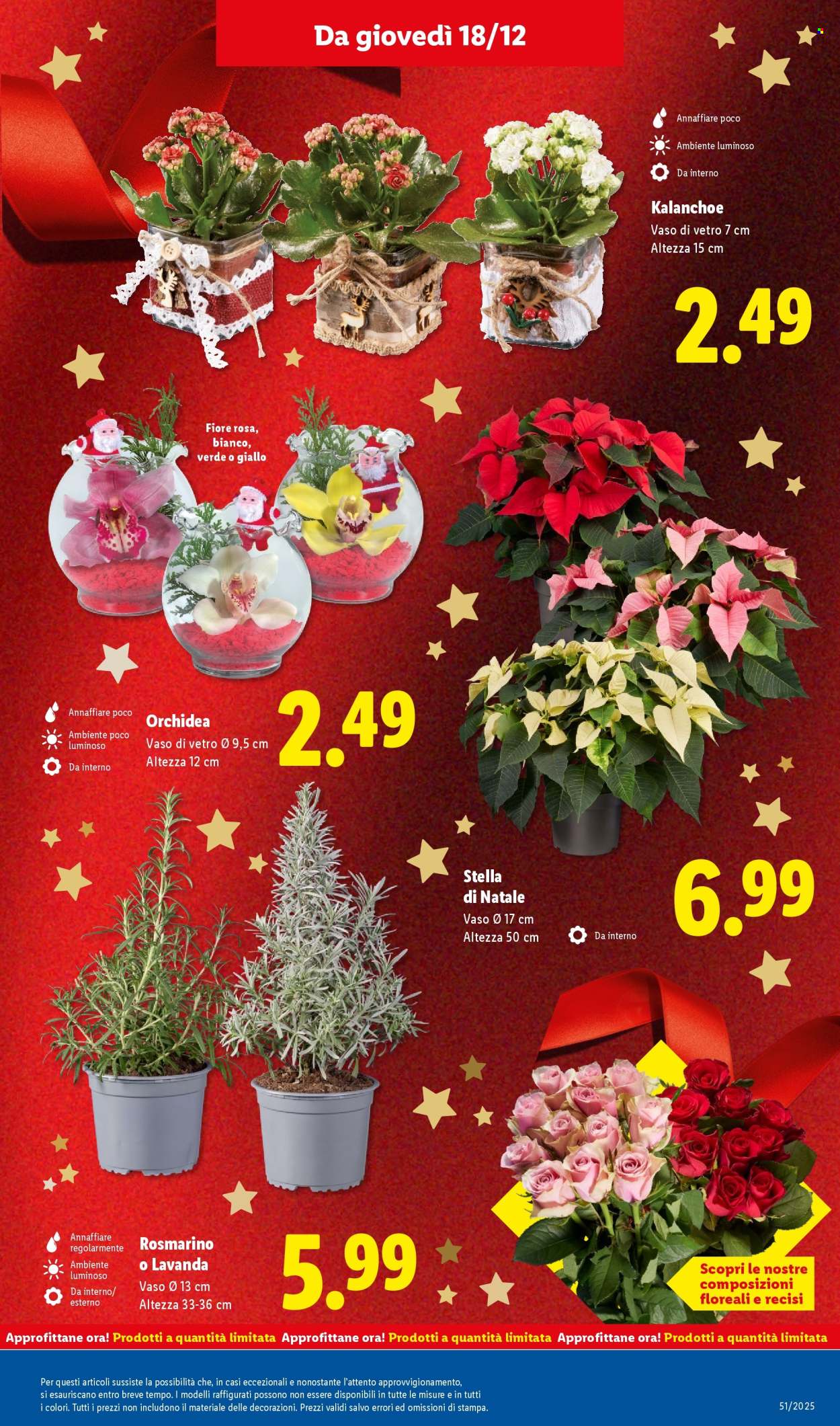 Volantino Lidl - 15/12/2025 - 21/12/2025. Pagina 33