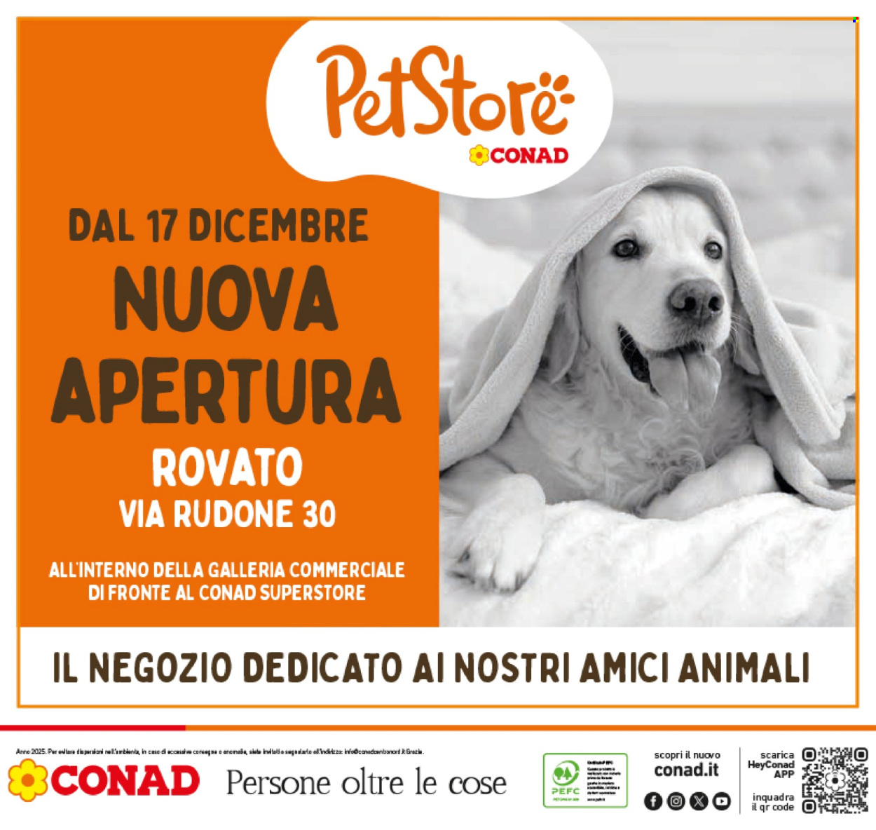 Volantino Conad Superstore - 15/12/2025 - 26/12/2025. Pagina 48