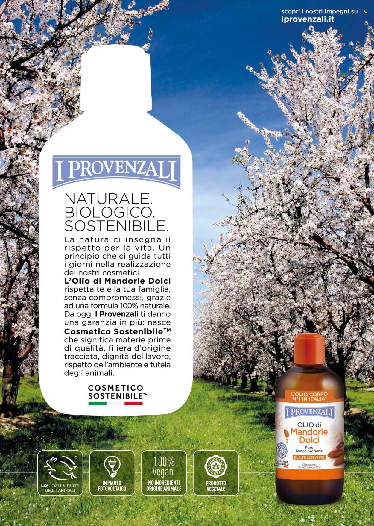 Volantino Acqua & Sapone - 1/12/2025 - 31/12/2025. Pagina 13