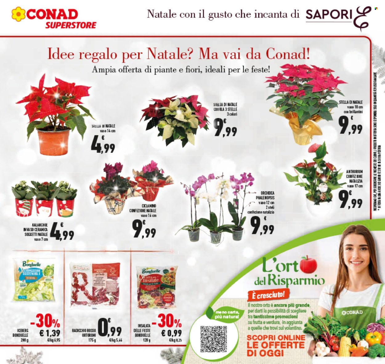 Volantino Conad Superstore - 15/12/2025 - 26/12/2025. Pagina 17
