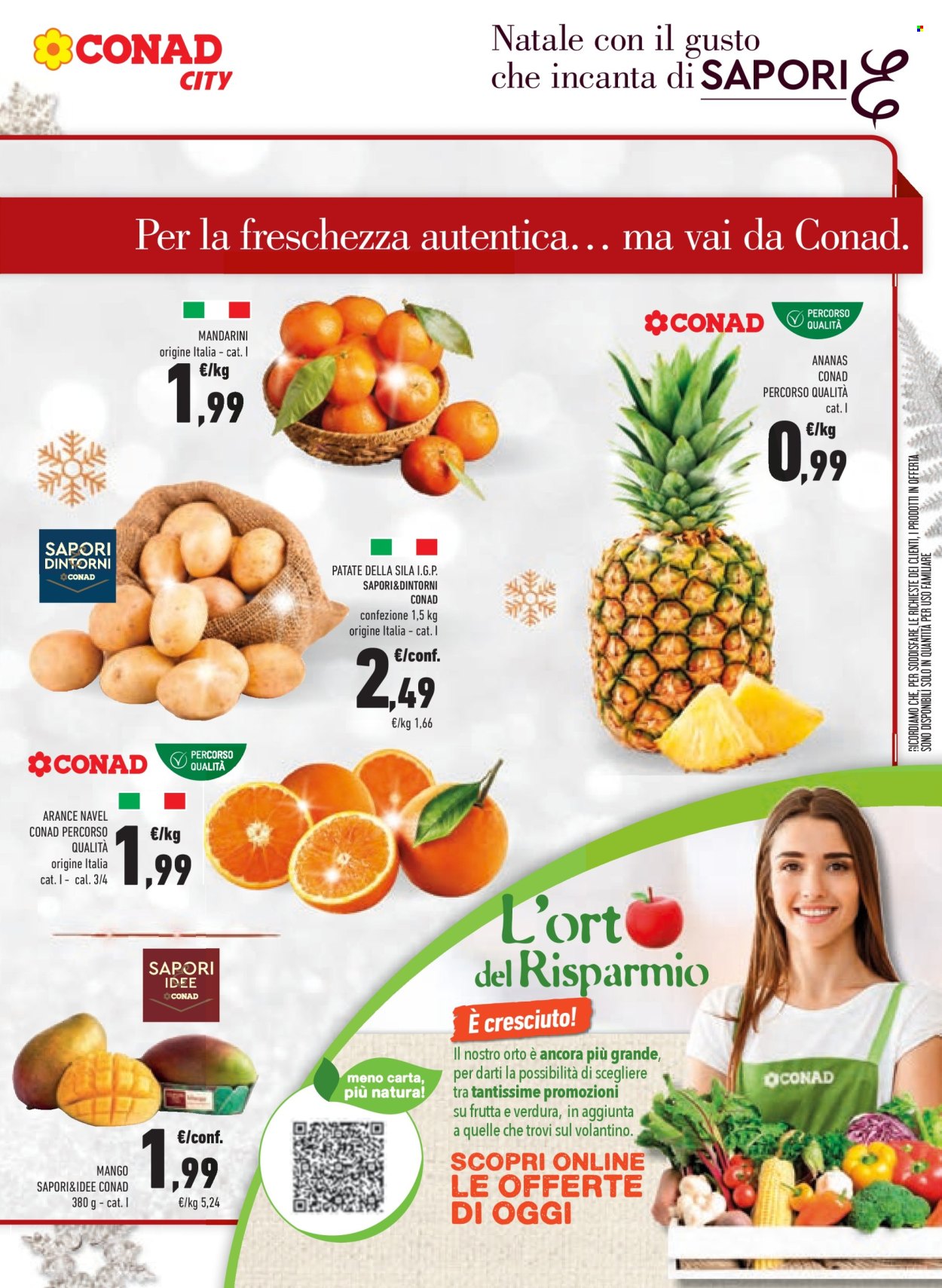Volantino Conad - 15/12/2025 - 26/12/2025. Pagina 17