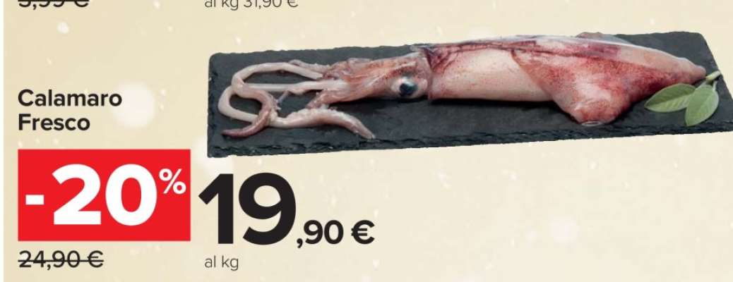 CALAMARO FRESCO