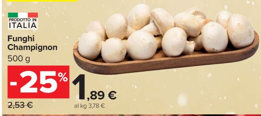 Funghi Champignon