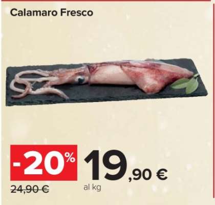 CALAMARO FRESCO