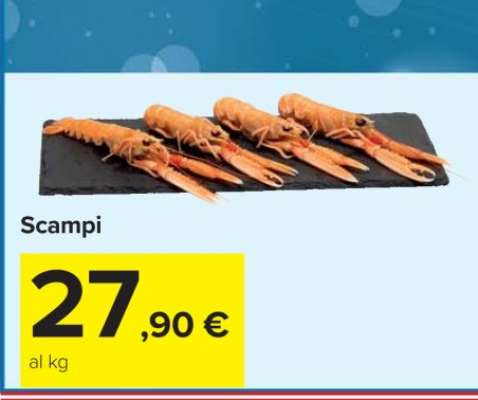 Scampi