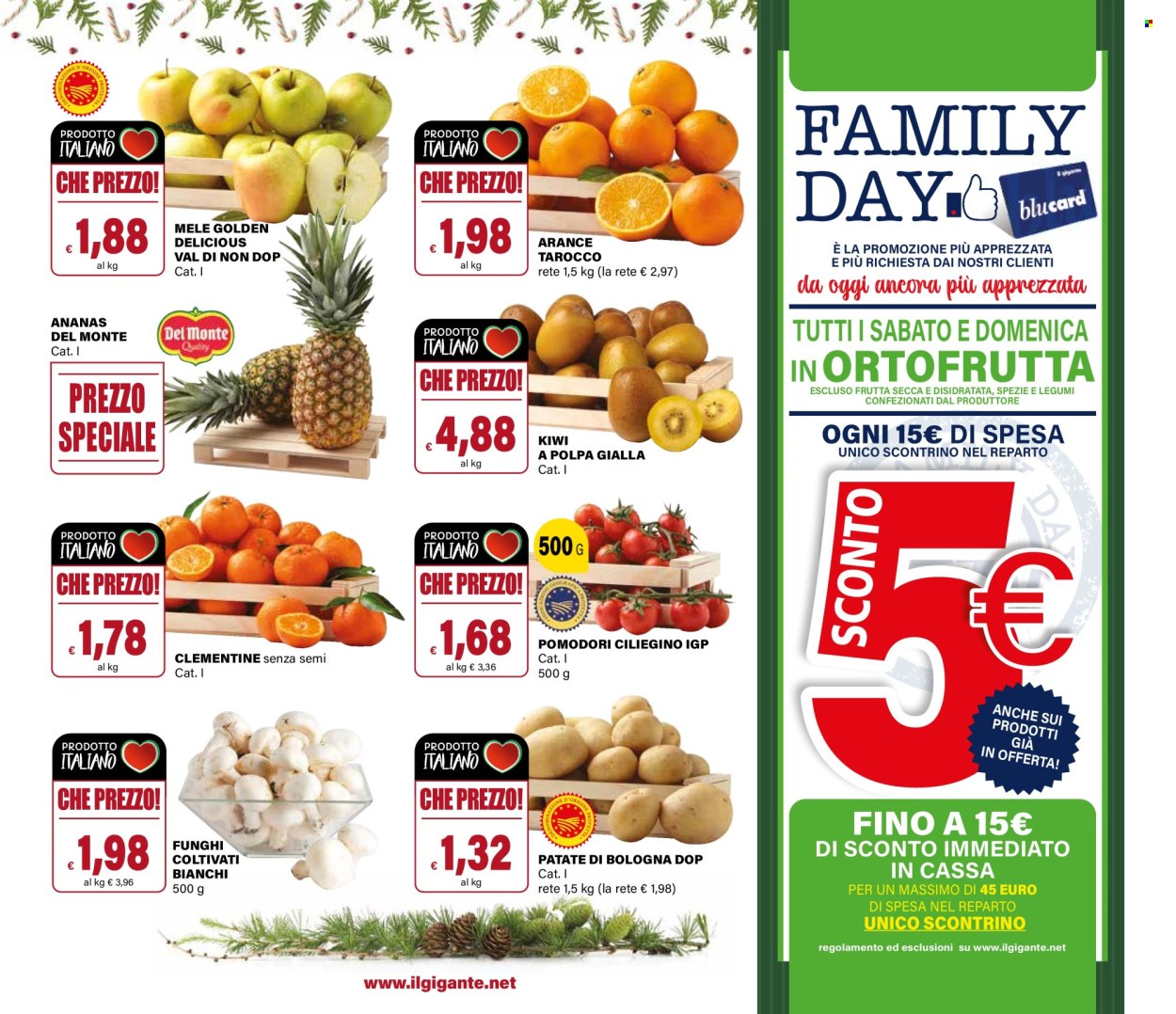 Volantino Il Gigante - 15/12/2025 - 31/12/2025. Pagina 41