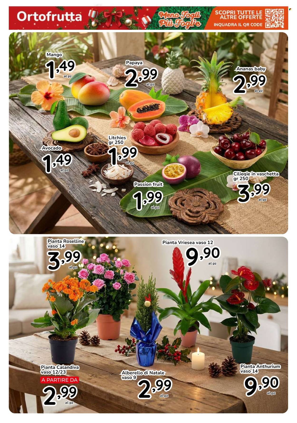 Volantino Famila - 17/12/2025 - 31/12/2025. Pagina 15