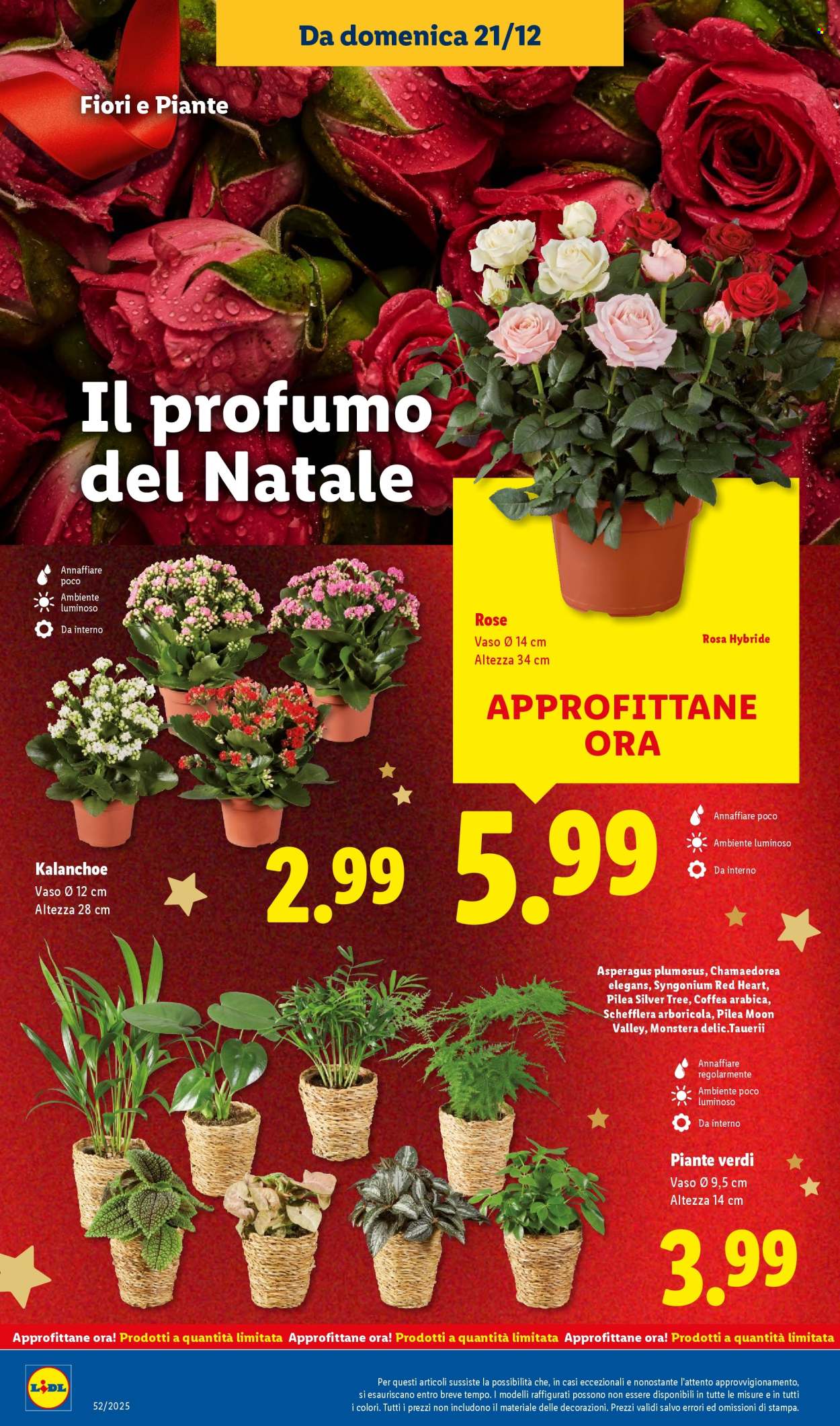 Volantino Lidl - 21/12/2025 - 28/12/2025. Pagina 40