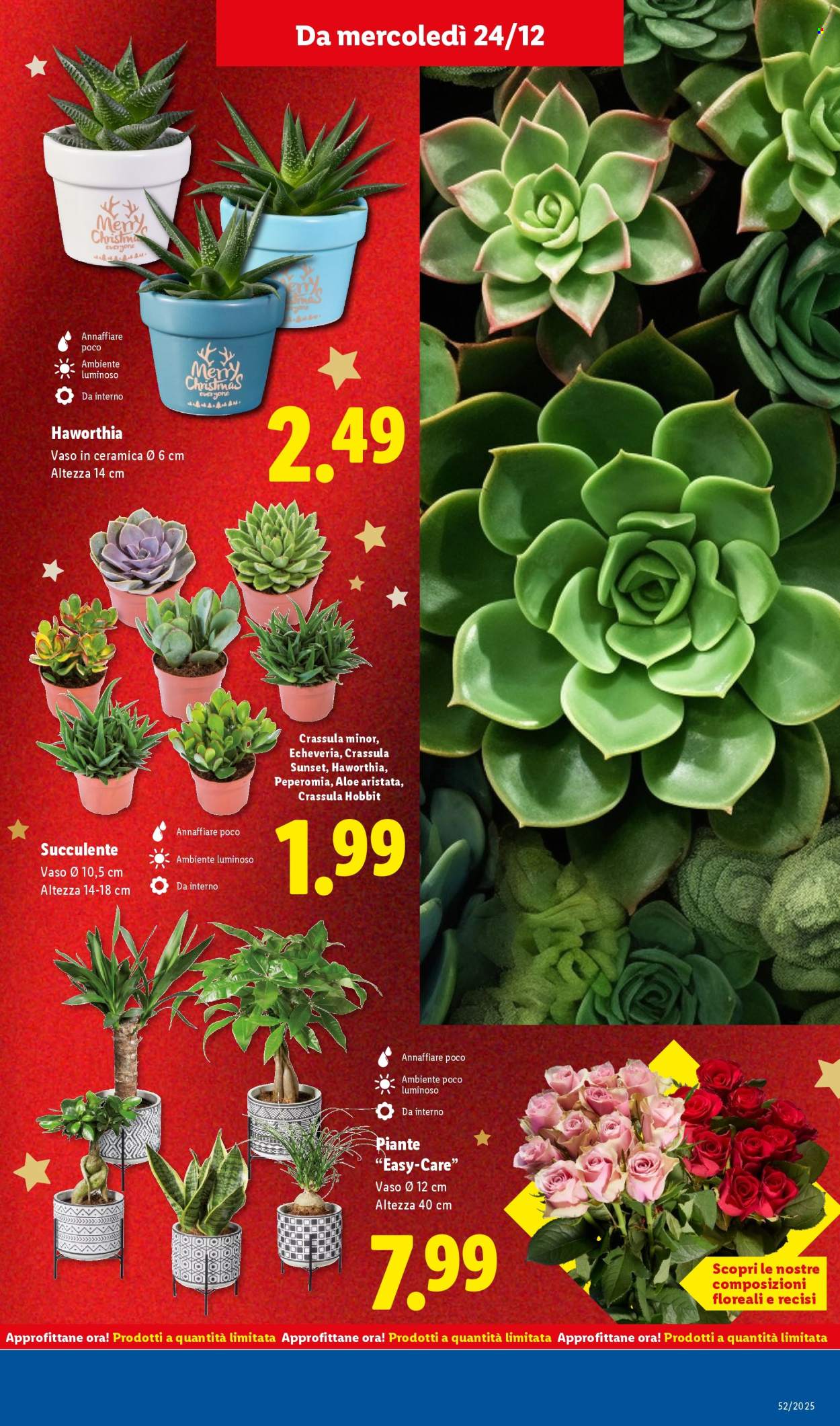 Volantino Lidl - 21/12/2025 - 28/12/2025. Pagina 41
