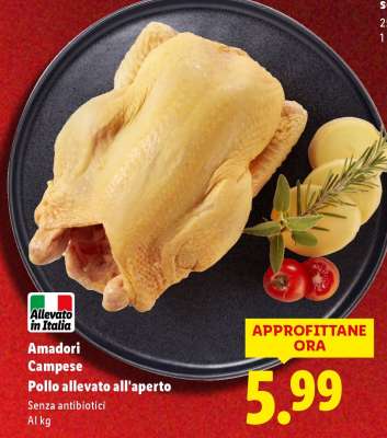 Amadori Campese Pollo allevato all'aperto